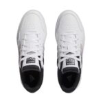 Hoops 3.0