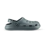 Charcoral Gray