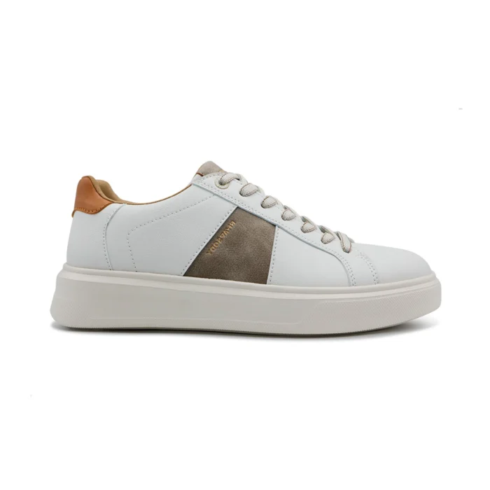 Rhapsody 24Ac611/Cream